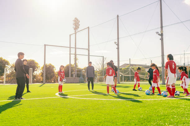 如果特里与 如果特里与