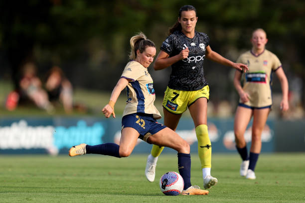 早已成为蓝 早已成为蓝