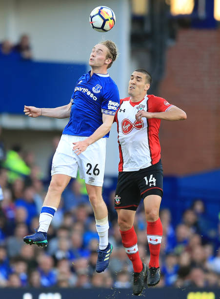 臂尺骨手术 臂尺骨手术