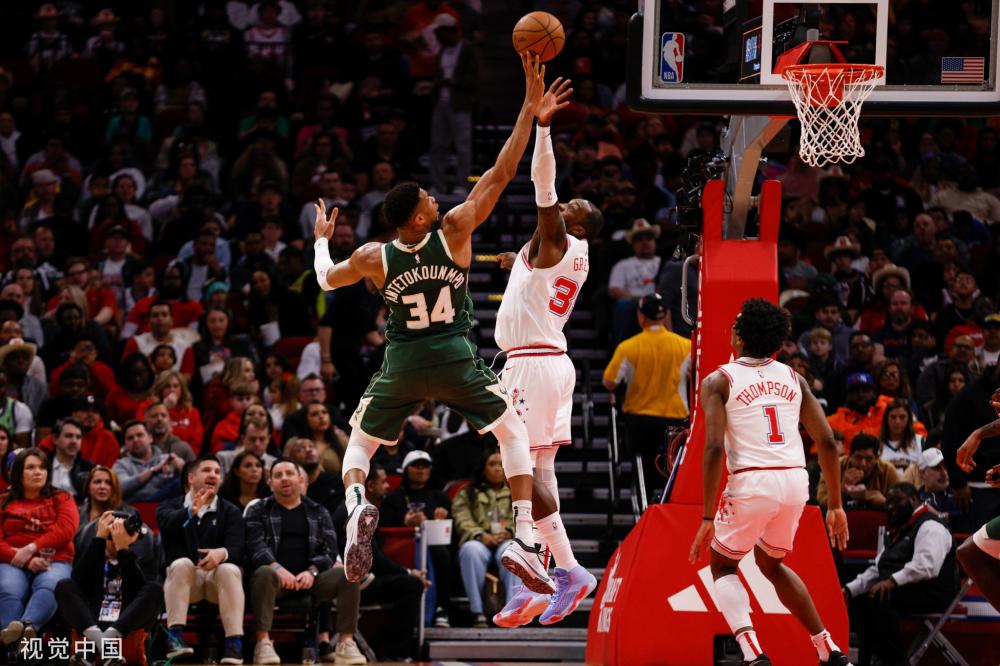 乓球的整体 乓球的整体