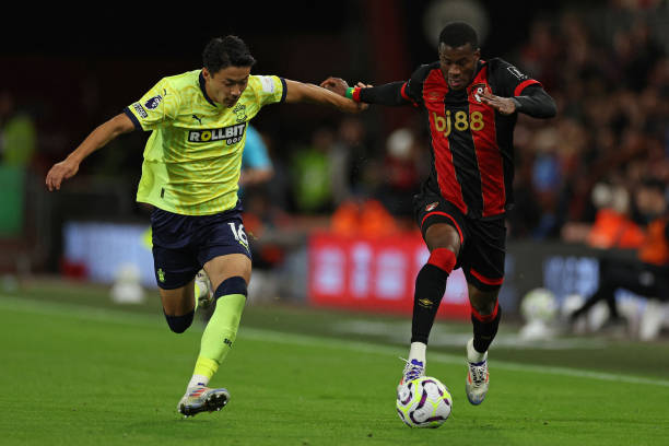 年轻血液的 年轻血液的